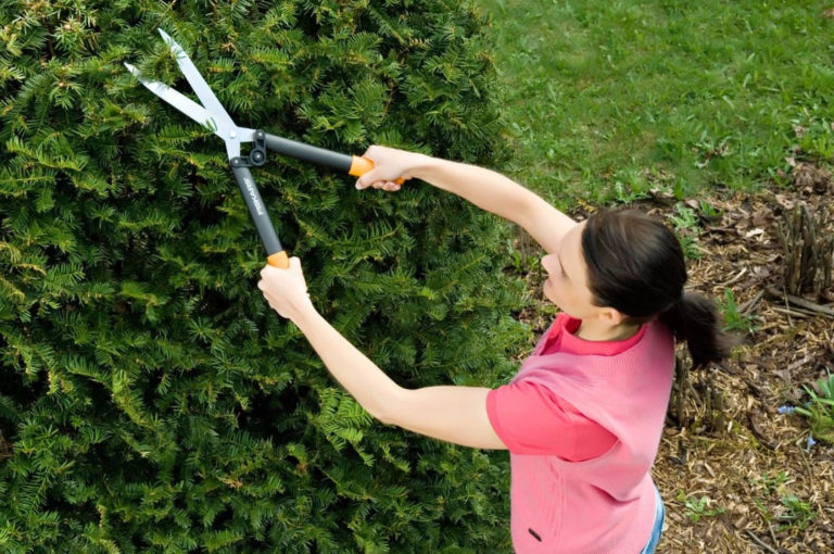 Škare za živicu Fiskars PowerLever HS52